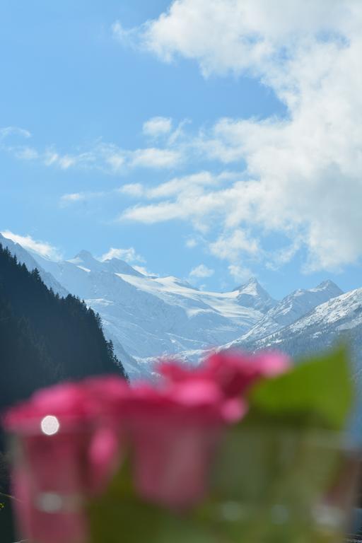 Alexandra'S Apartment Neustift im Stubaital Eksteriør bilde